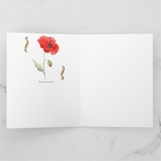 Papaver rhoeas  カード (内部)