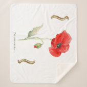 Papaver rhoeas  シェルパブランケット (正面)