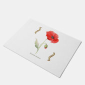 Papaver rhoeas  ドアマット (アングル)