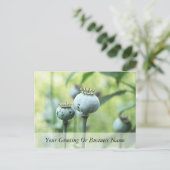 Papaver Somniferumシードヘッド ポストカード (スタンド正面)