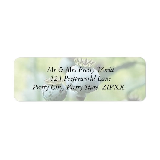 Papaver Somniferumシードヘッド ラベル (正面)