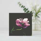 Papaver Sugarplumカード (スタンド正面)