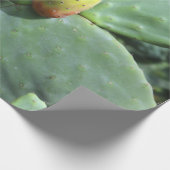 papel de regalo higuera chumbera ラッピングペーパー (角)