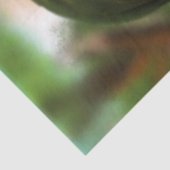 Papel de seda ilustrado profesional 薄葉紙 (詳細)