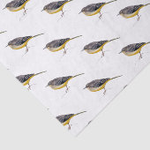 Papel seda con acuarela de lavandera cascadeña 薄葉紙 (詳細)