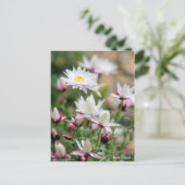 Paper Cascade [Postcard] ポストカード (スタンド正面)