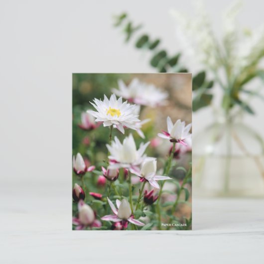 Paper Cascade [Postcard] ポストカード (スタンド正面)