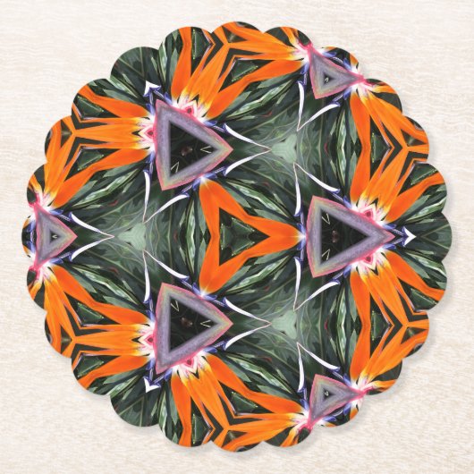 Paper Coaster ペーパーコースター (正面)