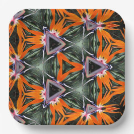 Paper Plate ペーパープレート