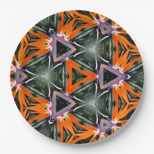 Paper Plate ペーパープレート (正面)