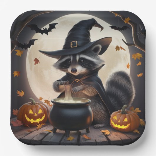 Paper Plates Série 3 Raccoon 08 ペーパープレート (正面)