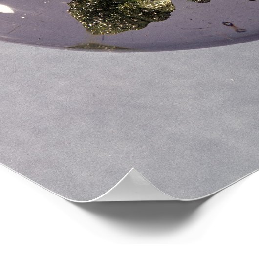 Paperweight, Pantin Workshop, c.1850 ポスター (角)