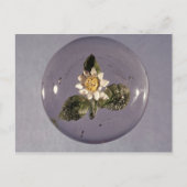 Paperweight, Pantin Workshop, c.1850 ポストカード (正面)