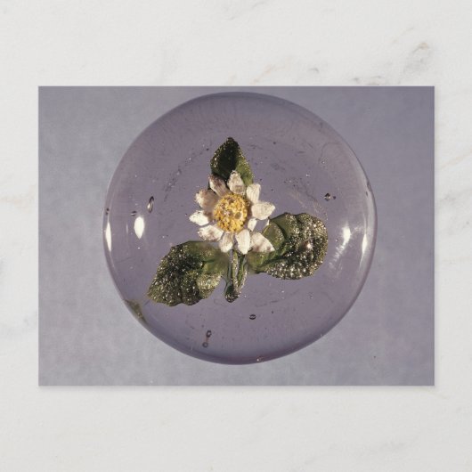 Paperweight, Pantin Workshop, c.1850 ポストカード (正面)