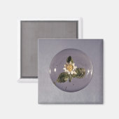 Paperweight, Pantin Workshop, c.1850 マグネット (正面/裏面)