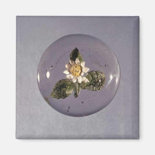 Paperweight, Pantin Workshop, c.1850 マグネット (正面)