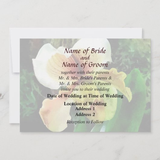 Paph Hellas Westonbirt Orchidの結婚製品 招待状 (正面)