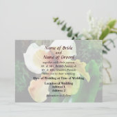 Paph Hellas Westonbirt Orchidの結婚製品 招待状 (スタンド正面)