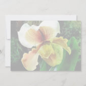 Paph Hellas Westonbirt Orchidの結婚製品 招待状 (裏面)