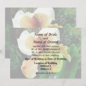 Paph Hellas Westonbirt Orchidの結婚製品 招待状 (正面/裏面)