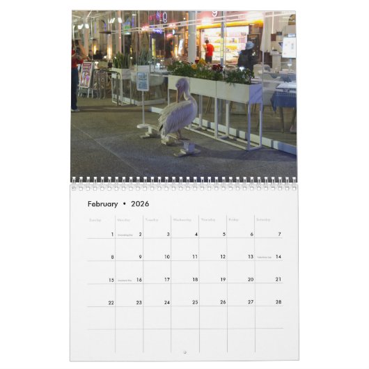 Paphos at Night Calendar by Paphos Life カレンダー (2月 2026)