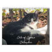 Paphos Lifeによるキプロスの猫 カレンダー (カバー)