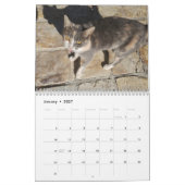 Paphos Lifeによるキプロスの猫 カレンダー (1月 2027)