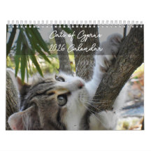 PaphosLife カレンダー「キプロスの猫」