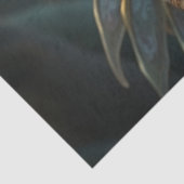 Papier Mousseline 薄葉紙 (詳細)