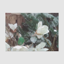 papier mousseline noel 薄葉紙