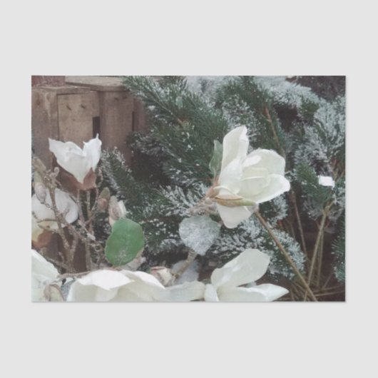 papier mousseline noel 薄葉紙 (正面)