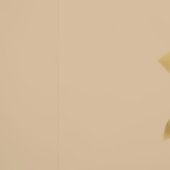 Papier-peint  fleurs fond taupe 壁紙 (縫い目)