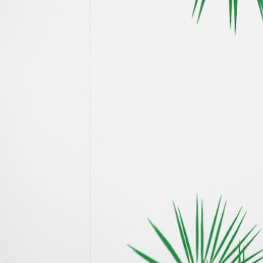 Papiers peints  ETOILE Vert 壁紙 (縫い目)