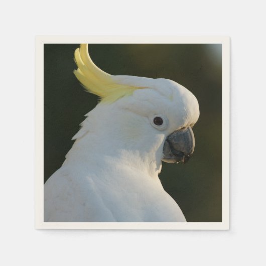 Papierservietten Kakadu スタンダードカクテルナプキン (正面)