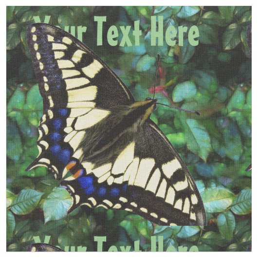 Papilioのアゲハチョウ ファブリック (クローズアップ)