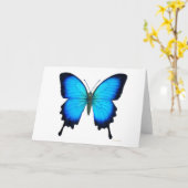 Papilioウリッセースの蝶カード カード (黄色い花)