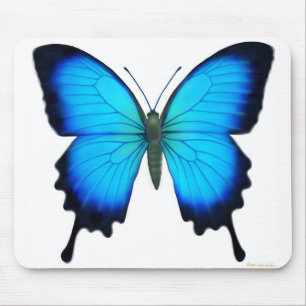 Papilioウリッセースの蝶マウスパッド マウスパッド
