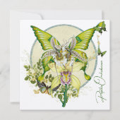 Papilio Orchidaceae (正面)