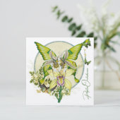 Papilio Orchidaceae (スタンド正面)