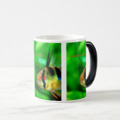 Papiliochromis ramirezi モーフィングマグカップ (正面右)