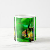 Papiliochromis ramirezi モーフィングマグカップ (中央)