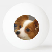 Papillonかわいい犬 卓球ボール (裏面)