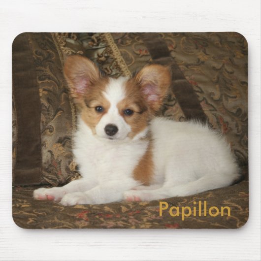 Papillonの子犬のマウスパッド マウスパッド (正面)