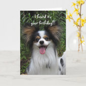 Papillonの薄く水っぽいキスのバースデー・カード カード (黄色い花)