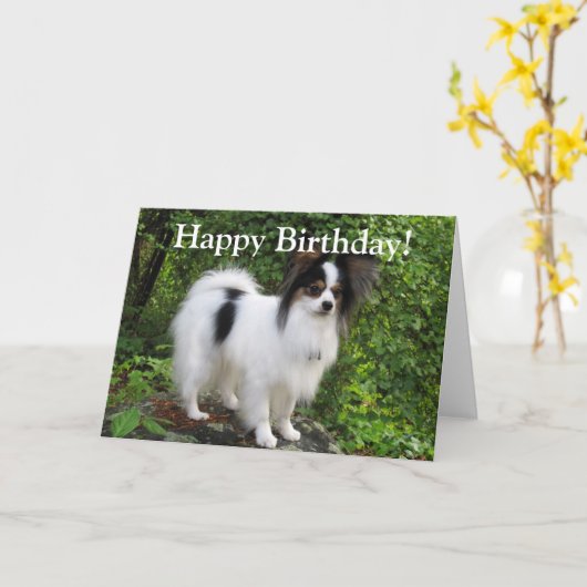 Papillonの誕生日または挨拶状 カード (黄色い花)