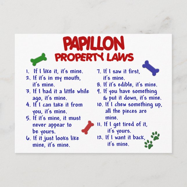 PAPILLONプロパティーの法則2 ポストカード (正面)