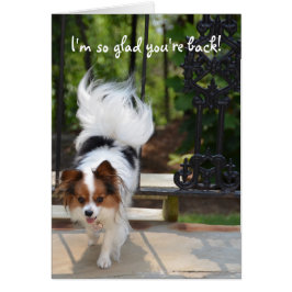 Papillon私はそう嬉しいあなたは背部です