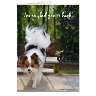 Papillon私はそう嬉しいあなたは背部です