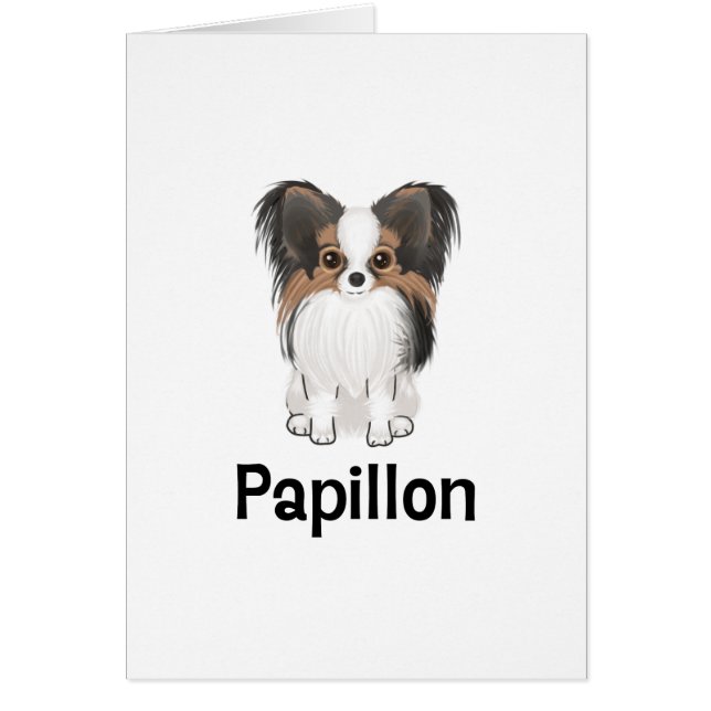 Papillon (正面)