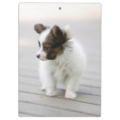 Papillon クリップボード (裏面)